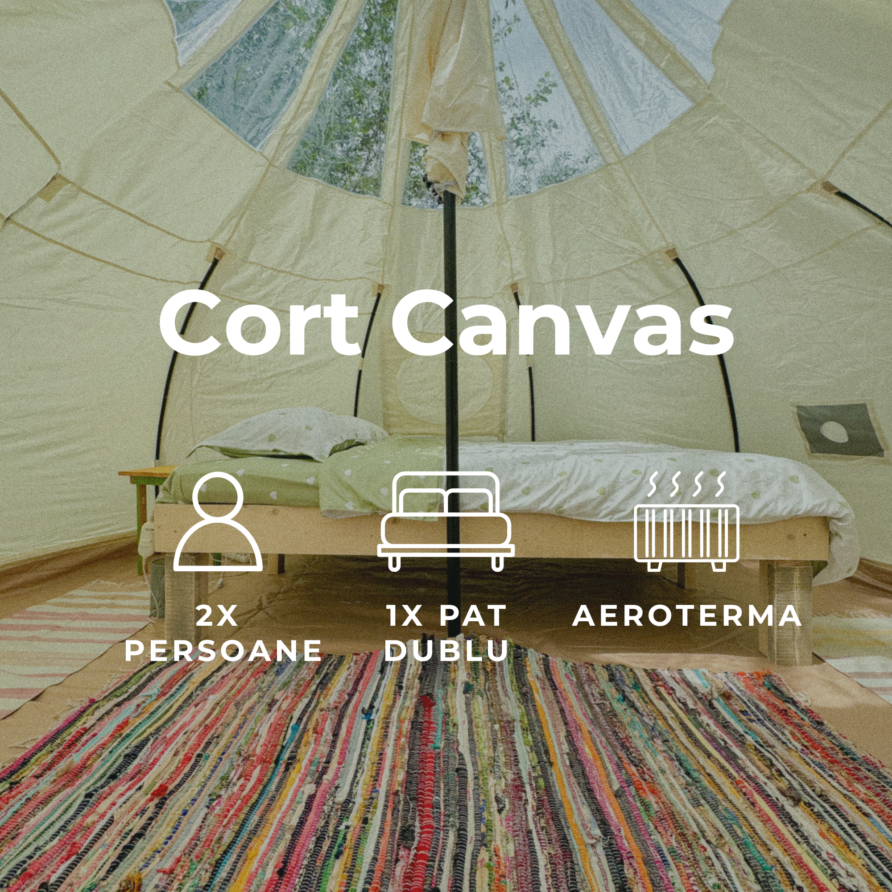 Cort Canvas