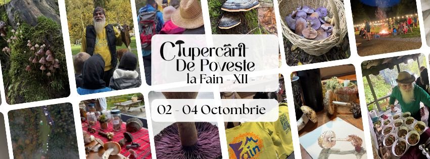 Ciupercarit de Poveste XII