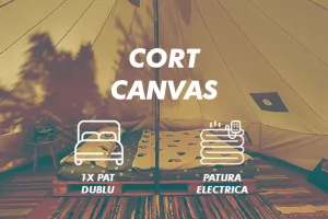 cort canvas